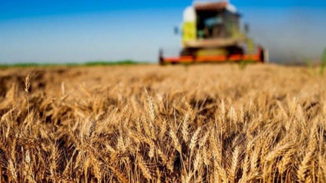 Bazı tarım ürünlerinin ihracatına ilişkin düzenleme 30 Haziran’a kadar uzatıldı