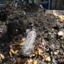 Manisa'da MASKİ'den yağmur suyu ızgaraları temizliği