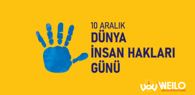 Weilo’dan İnsan Hakları ve Demokrasi Haftası’na Özel Vurgu: Sürdürülebilir Kalkınma ve İnsan Hakları