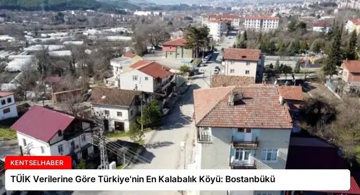 TÜİK Verilerine Göre Türkiye’nin En Kalabalık Köyü: Bostanbükü
