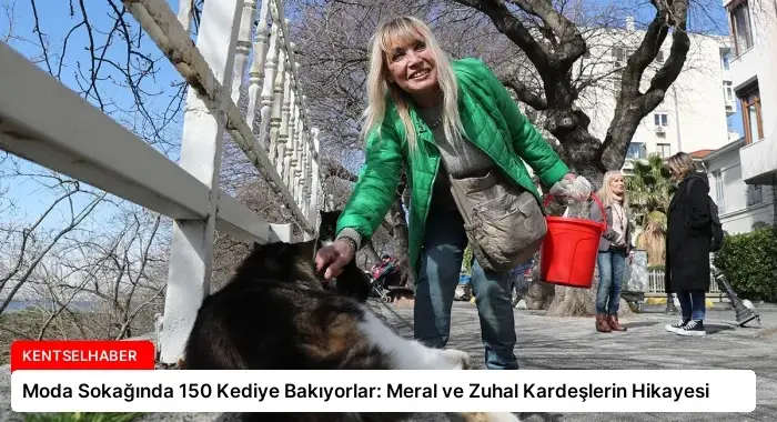 Moda Sokağında 150 Kediye Bakıyorlar: Meral ve Zuhal Kardeşlerin Hikayesi