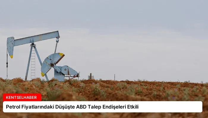 Petrol Fiyatlarındaki Düşüşte ABD Talep Endişeleri Etkili
