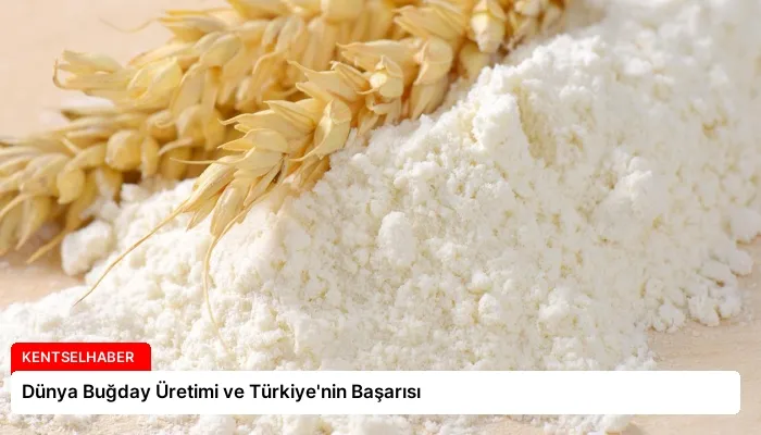 Dünya Buğday Üretimi ve Türkiye’nin Başarısı