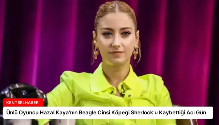 Ünlü Oyuncu Hazal Kaya’nın Beagle Cinsi Köpeği Sherlock’u Kaybettiği Acı Gün