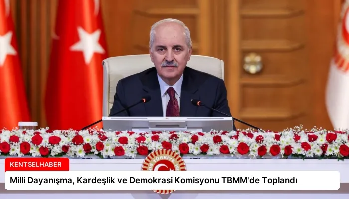 Milli Dayanışma, Kardeşlik ve Demokrasi Komisyonu TBMM’de Toplandı