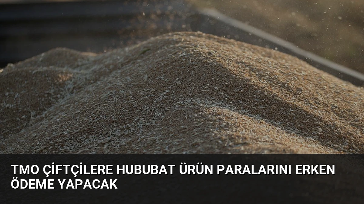 TMO Çiftçilere Hububat Ürün Paralarını Erken Ödeme Yapacak