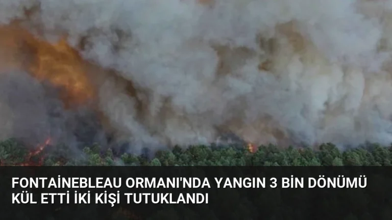 Fontainebleau Ormanı’nda Yangın 3 Bin Dönümü Kül Etti İki Kişi Tutuklandı