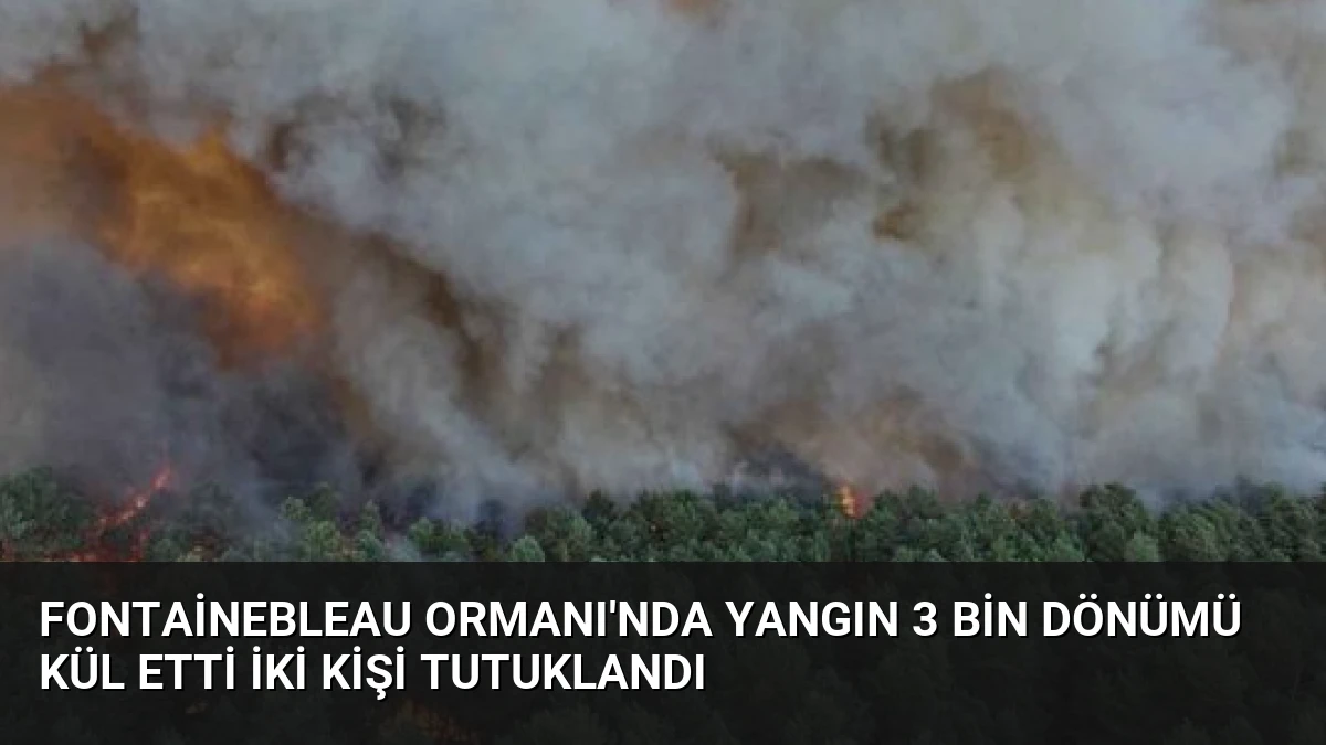 Fontainebleau Ormanı’nda Yangın 3 Bin Dönümü Kül Etti İki Kişi Tutuklandı