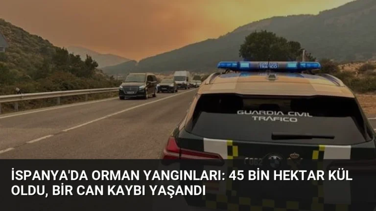 İspanya’da Orman Yangınları: 45 Bin Hektar Kül Oldu, Bir Can Kaybı Yaşandı