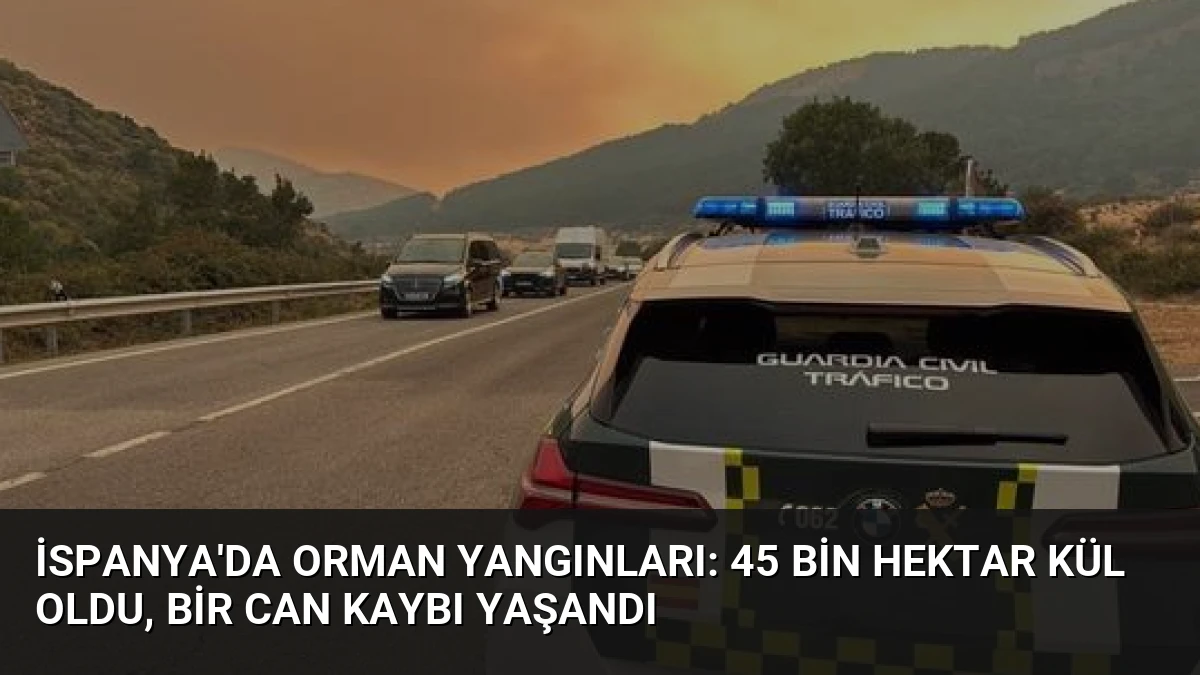 İspanya’da Orman Yangınları: 45 Bin Hektar Kül Oldu, Bir Can Kaybı Yaşandı
