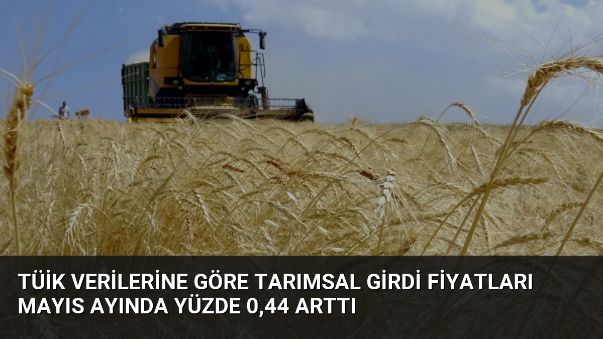 TÜİK Verilerine Göre Tarımsal Girdi Fiyatları Mayıs Ayında Yüzde 0,44 Arttı