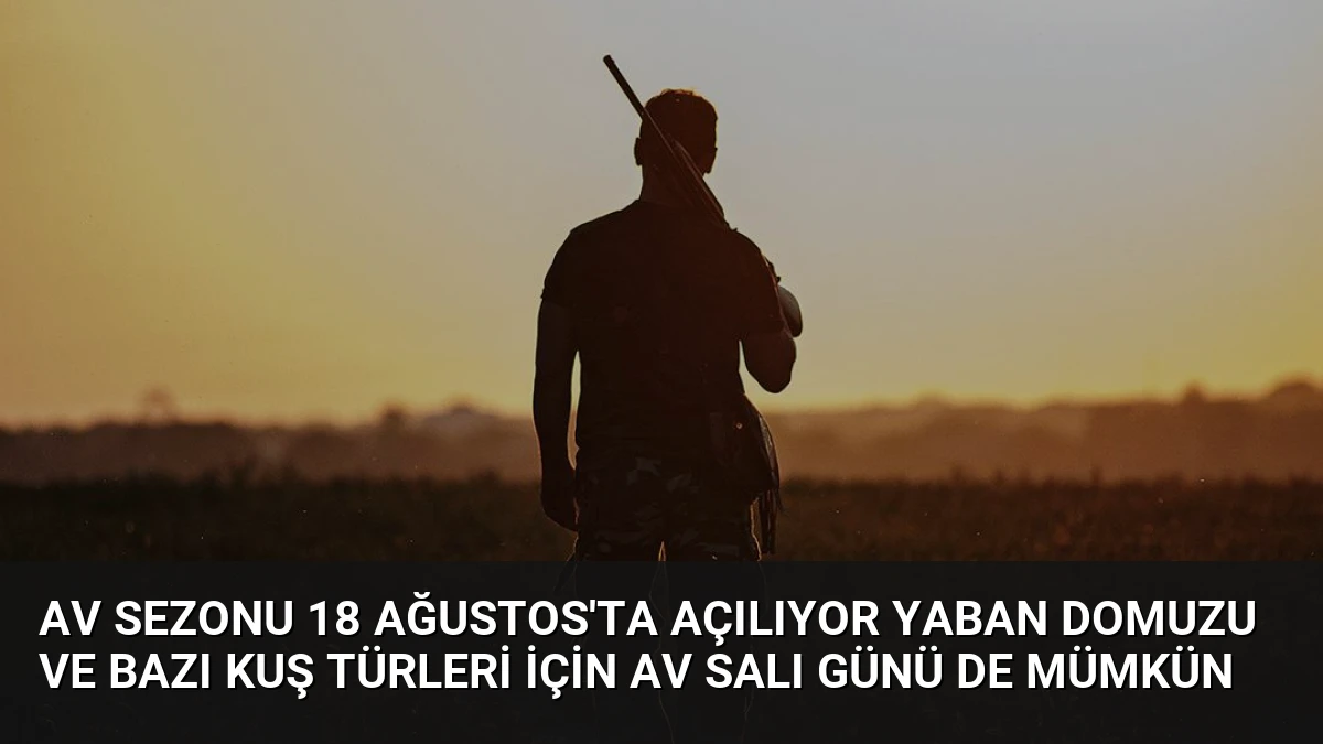 Av Sezonu 18 Ağustos’ta Açılıyor Yaban Domuzu ve Bazı Kuş Türleri İçin Av Salı Günü De Mümkün