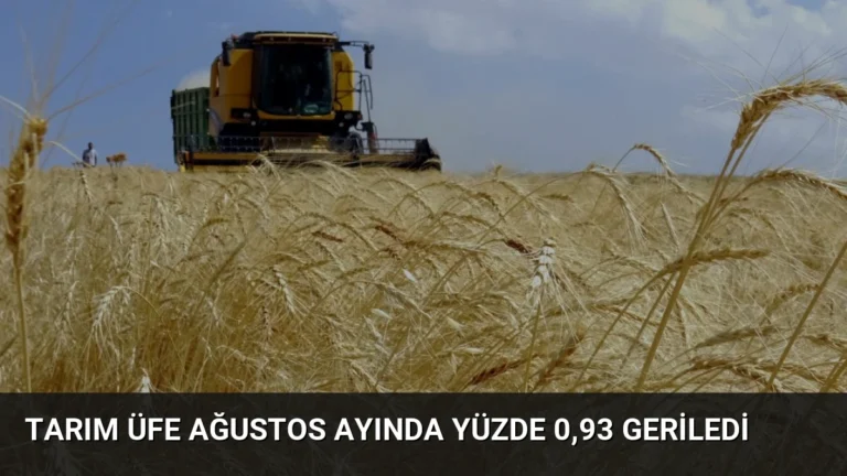 Tarım ÜFE Ağustos Ayında Yüzde 0,93 Geriledi