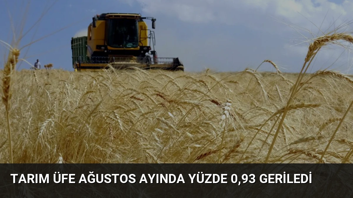 Tarım ÜFE Ağustos Ayında Yüzde 0,93 Geriledi