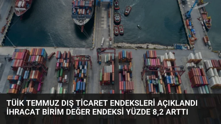 TÜİK Temmuz Dış Ticaret Endeksleri Açıklandı İhracat Birim Değer Endeksi Yüzde 8,2 Arttı