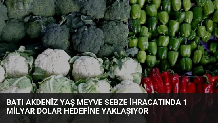 Batı Akdeniz Yaş Meyve Sebze İhracatında 1 Milyar Dolar Hedefine Yaklaşıyor