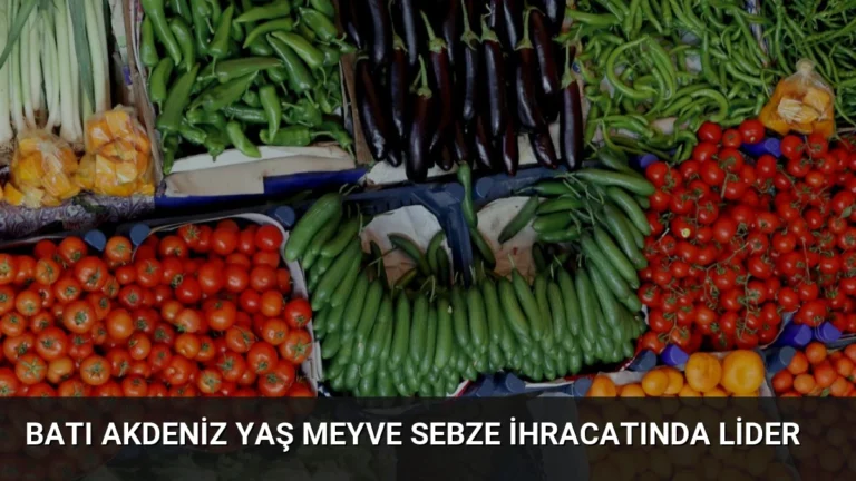 Batı Akdeniz Yaş Meyve Sebze İhracatında Lider